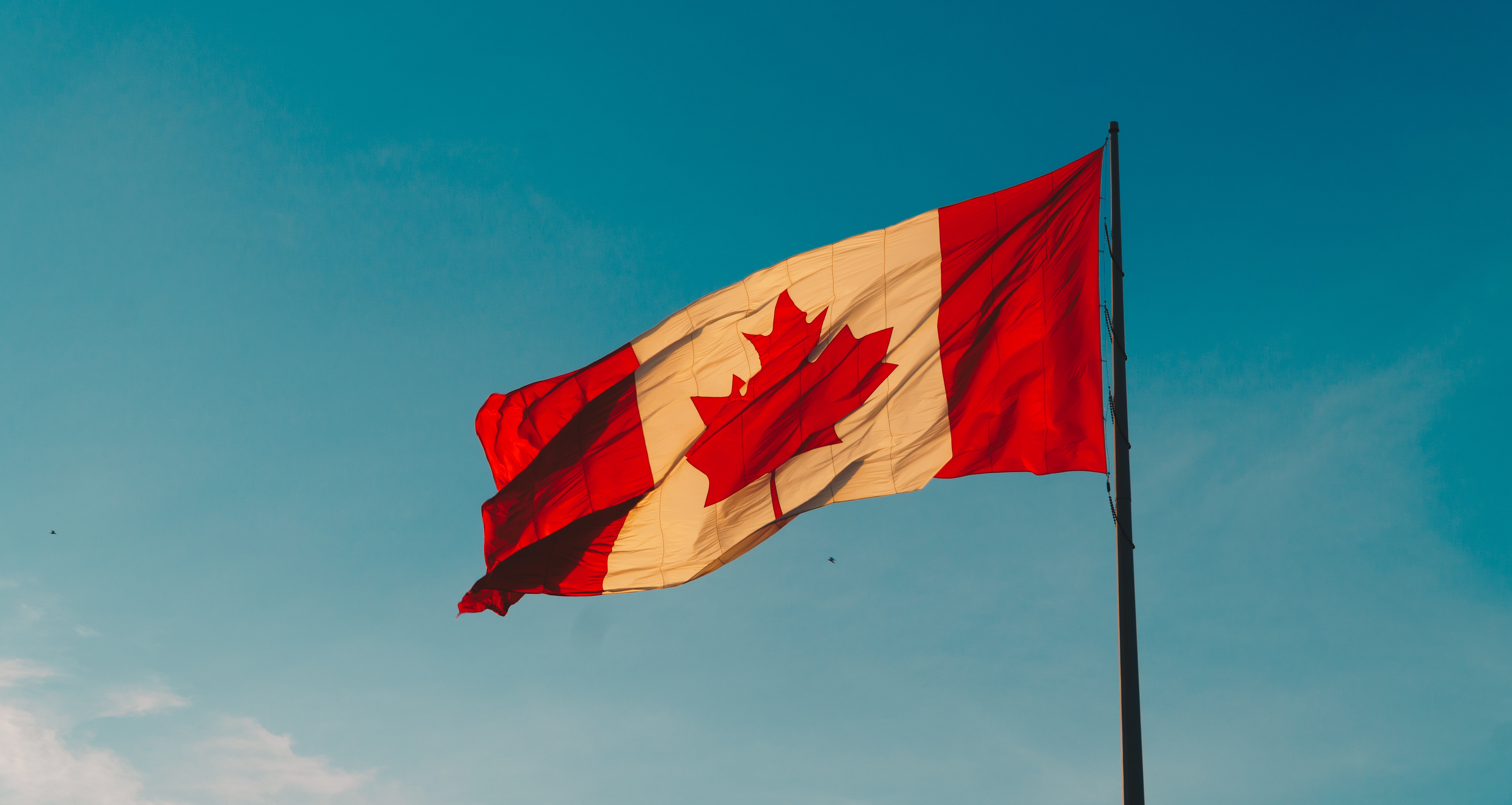 Tout savoir sur le PVT au Canada et le permis jeunes professionnels
