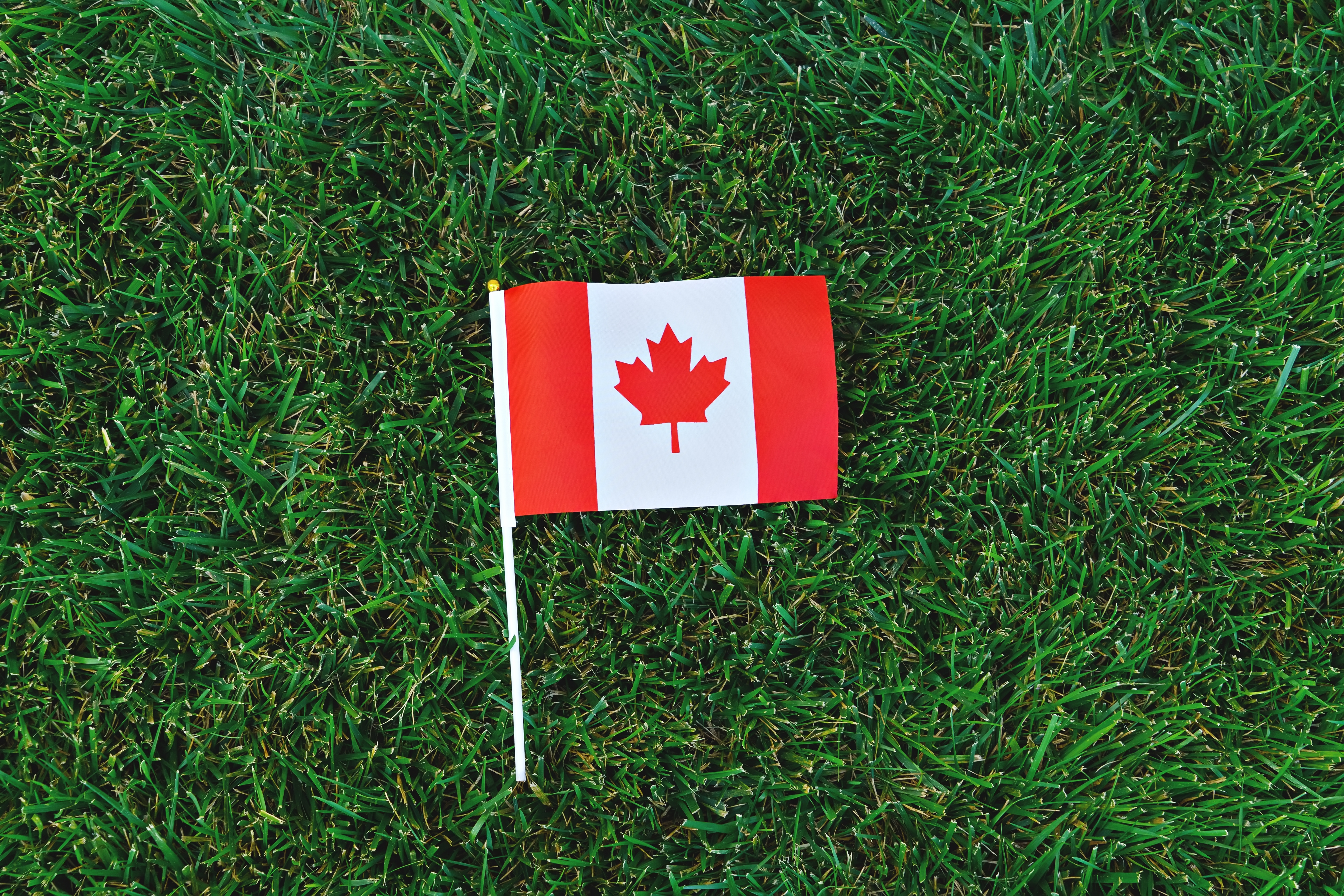 Le Canada : un pays qui attire les étudiants français